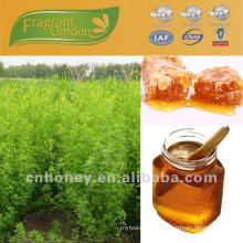 sweet clover honey pure natural honey